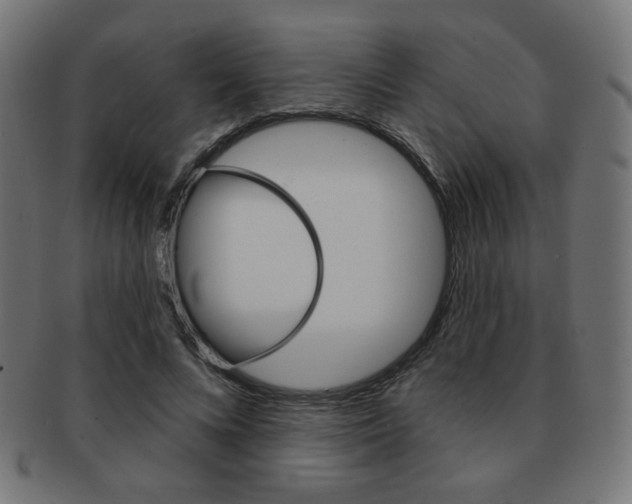 X0000092010688200709061309