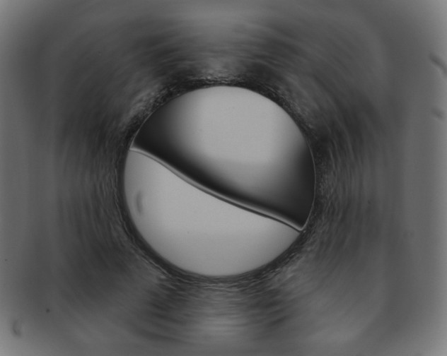 X0000092010689200709061309