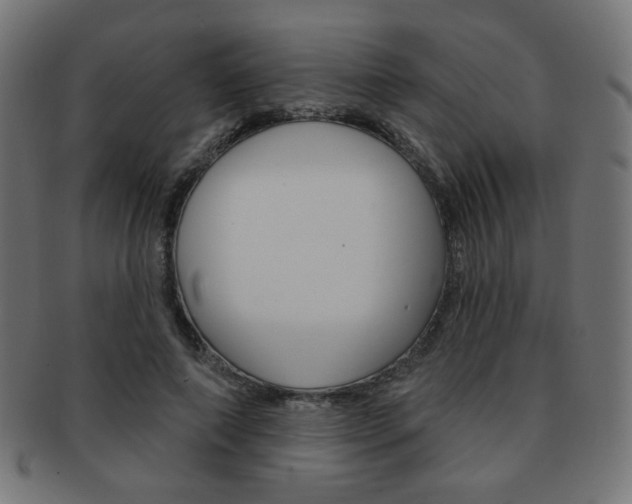 X0000092010690200709061309