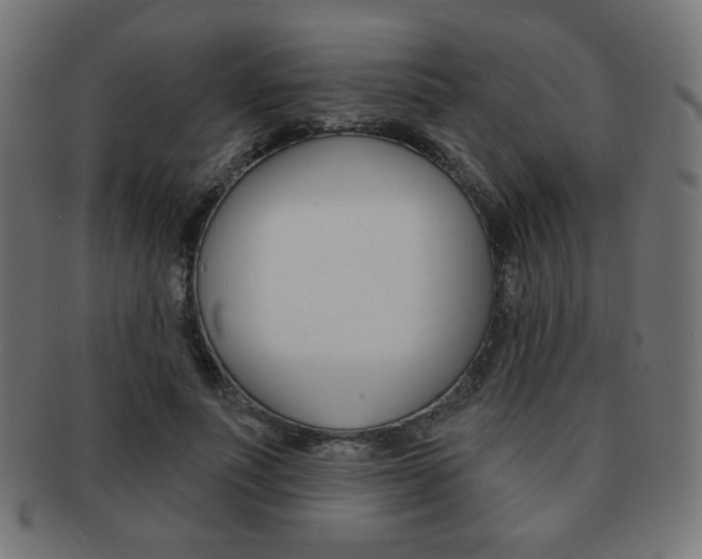 X0000092010691200709061309
