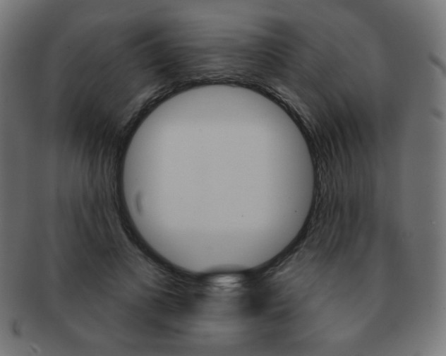 X0000092010693200709061309