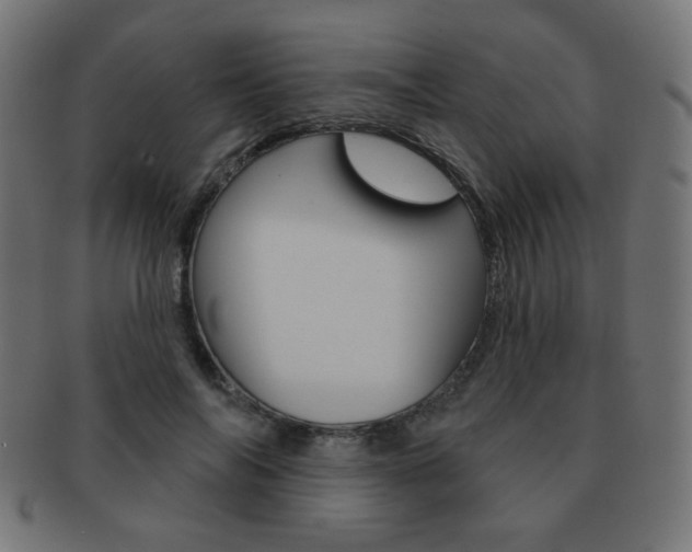 X0000092010694200709061309