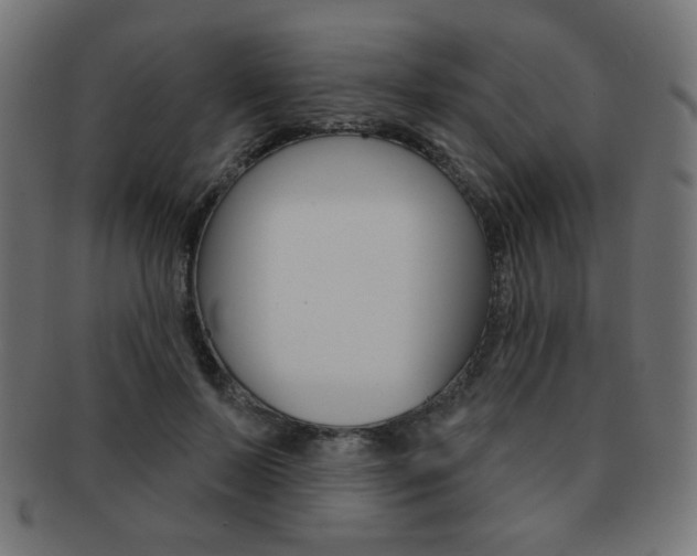 X0000092010695200709061309