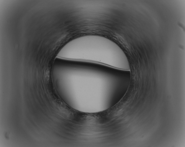 X0000092010697200709061309