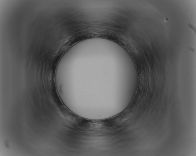 X0000092010698200709061309