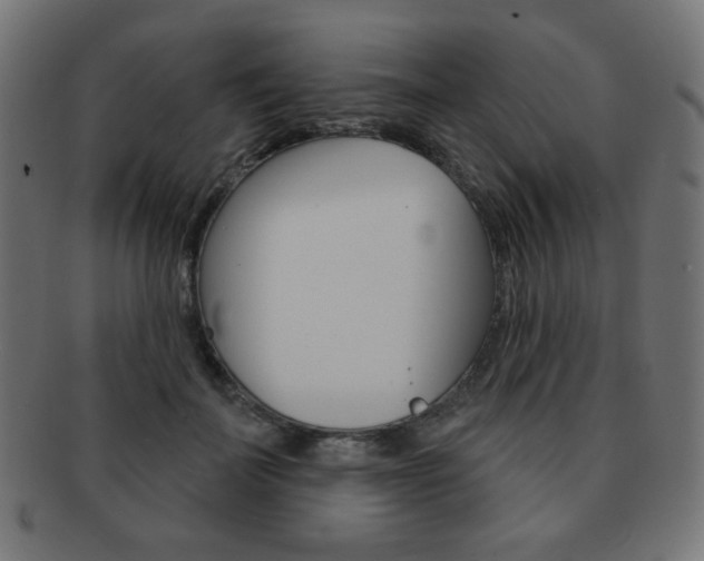 X0000092010699200709061309
