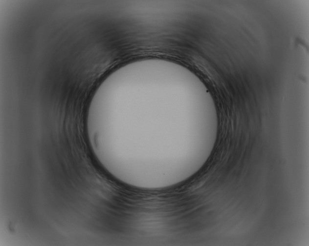 X0000092010700200709061309