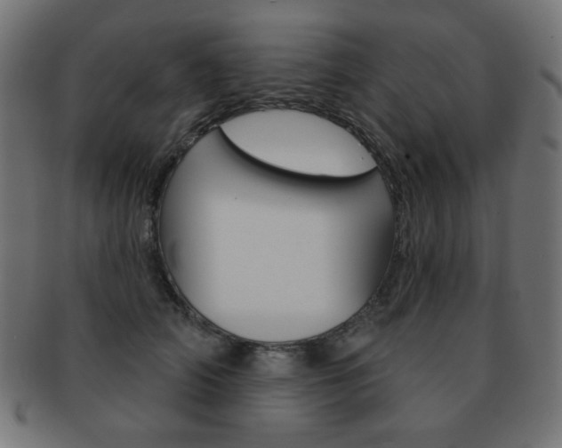 X0000092010706200709061309