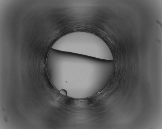 X0000092010707200709061309