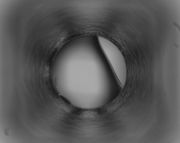 X0000092010708200709061309