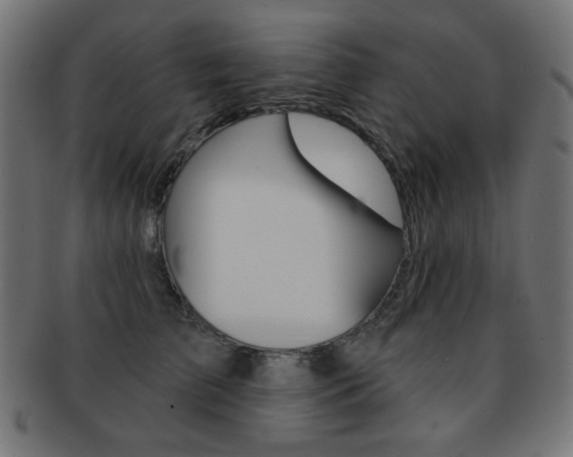 X0000092010709200709061309