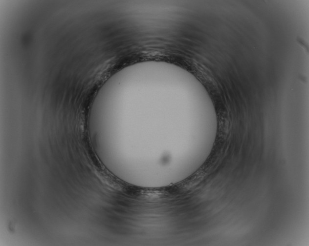 X0000092010710200709061309