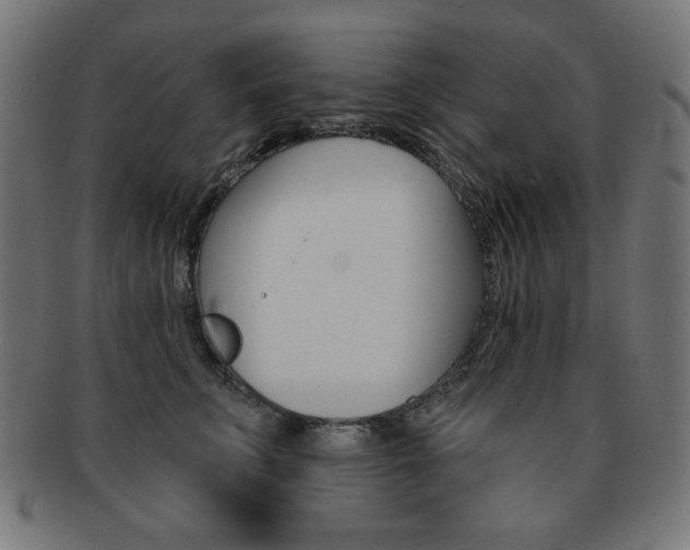 X0000092010711200709061309