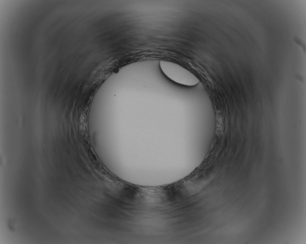 X0000092010713200709061309