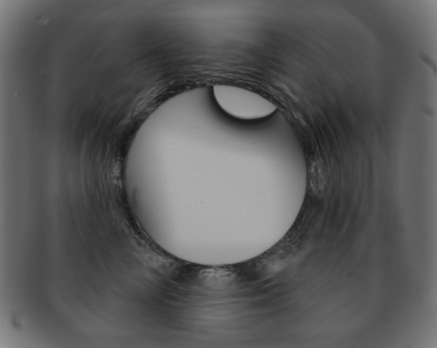X0000092010714200709061309