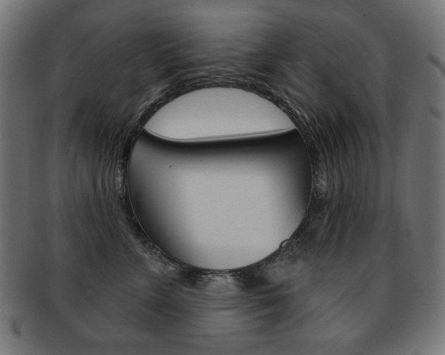 X0000092010715200709061309