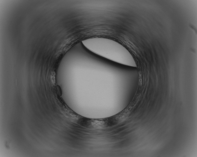 X0000092010718200709061309