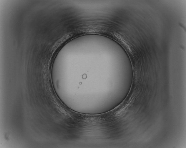 X0000092010721200709061308