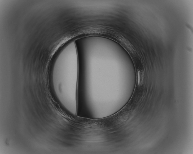 X0000092010723200709061308