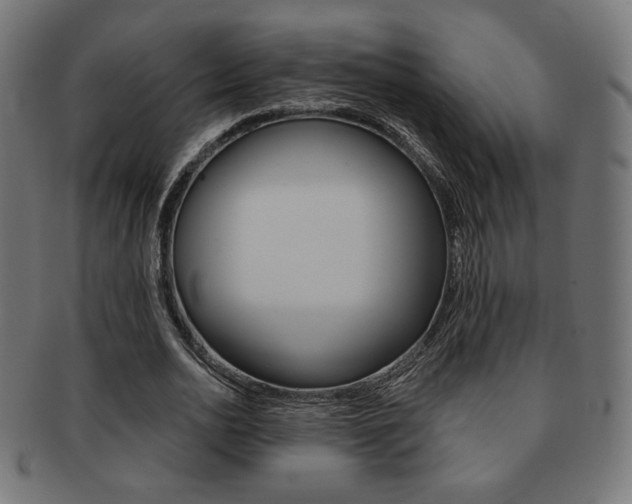 X0000092010726200709061308