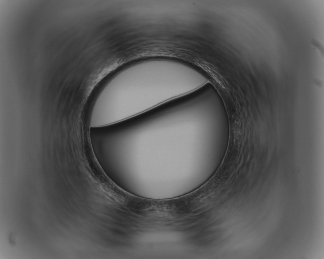 X0000092010727200709061308