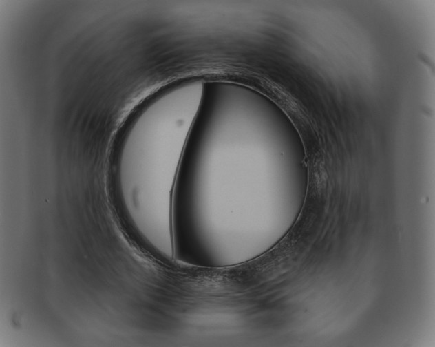 X0000092010728200709061308