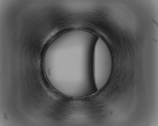 X0000092010730200709061308