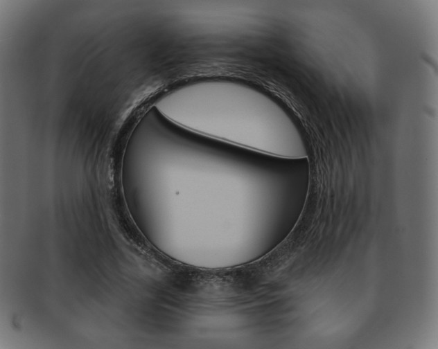 X0000092010731200709061308