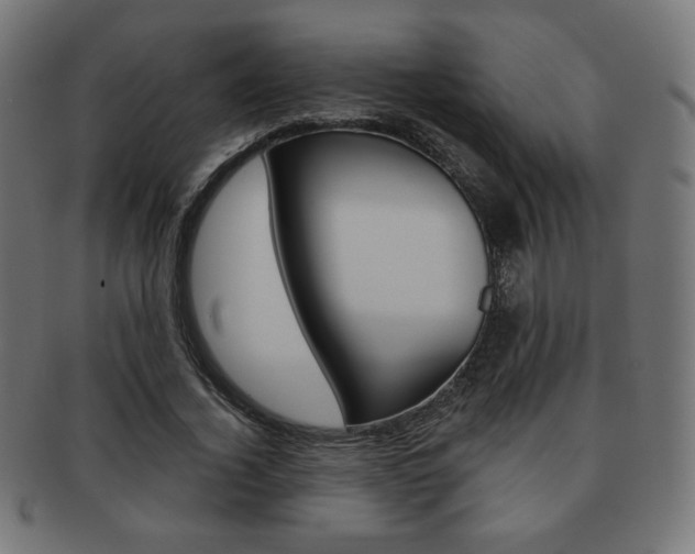 X0000092010732200709061308
