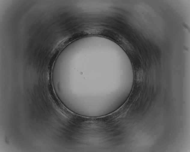 X0000092010733200709061309