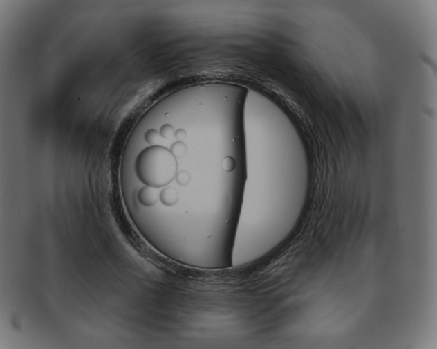 X0000092010734200709061309