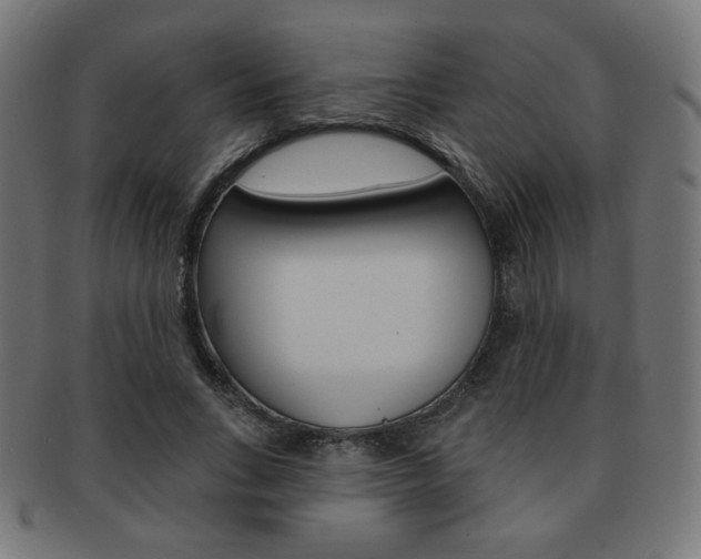 X0000092010735200709061309