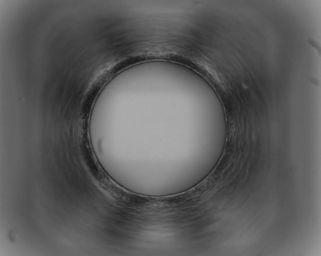 X0000092010736200709061309