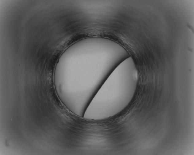 X0000092010737200709061309