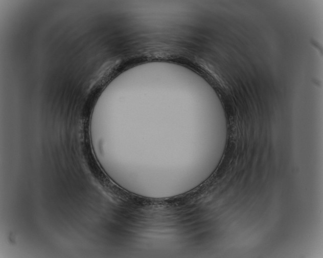 X0000092010738200709061309