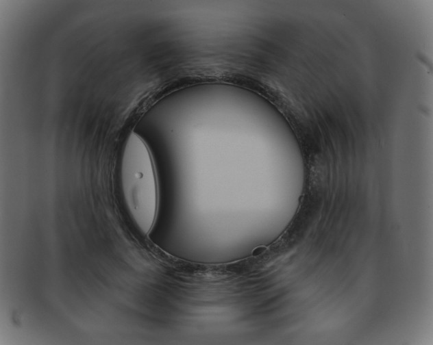 X0000092010739200709061309