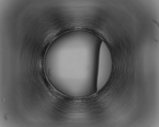 X0000092010740200709061309