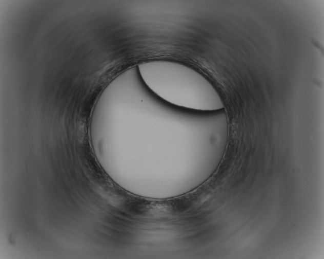 X0000092010741200709061309