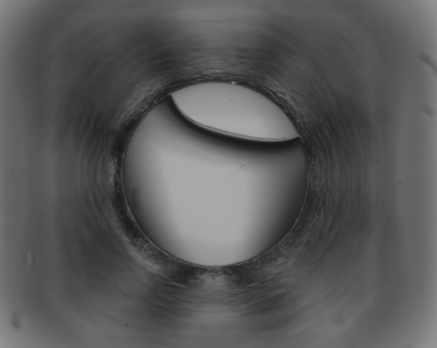 X0000092010742200709061309