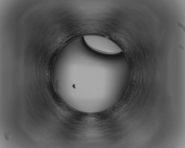 X0000092010743200709061309