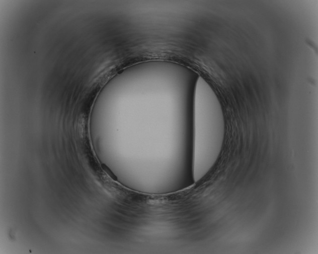 X0000092010744200709061309