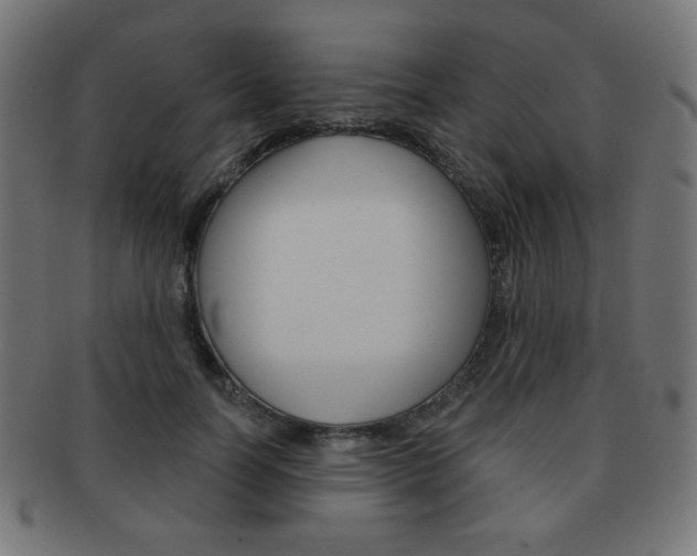 X0000092010746200709061309