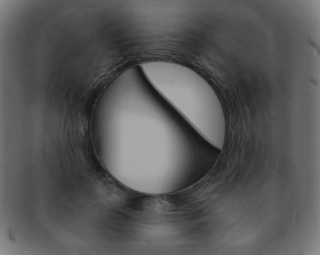 X0000092010747200709061309