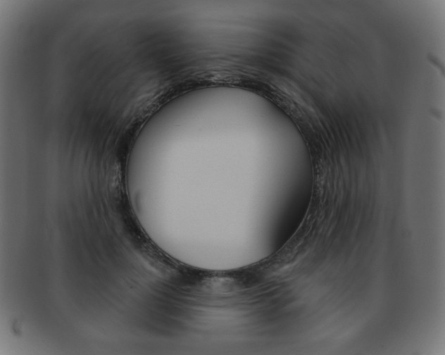 X0000092010748200709061309