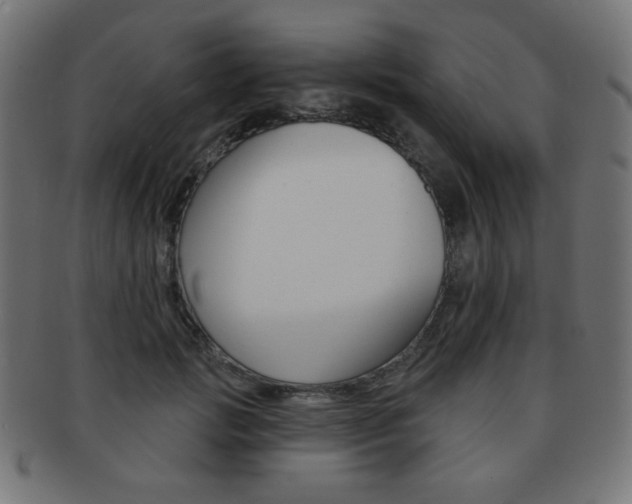 X0000092010749200709061309