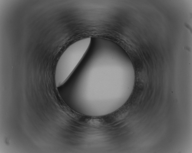 X0000092010751200709061309