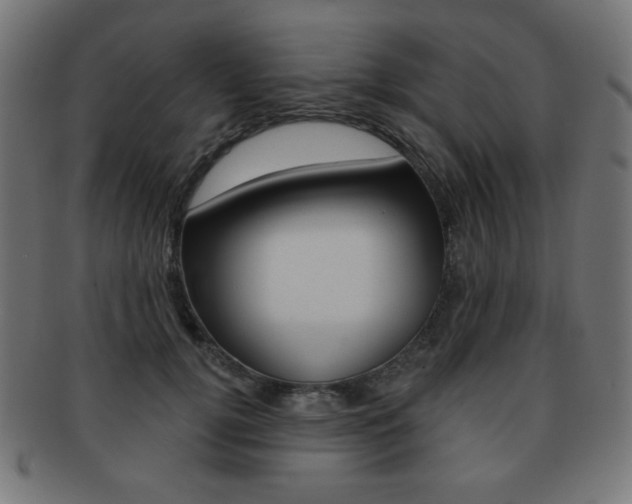 X0000092010752200709061309
