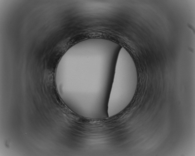 X0000092010753200709061309