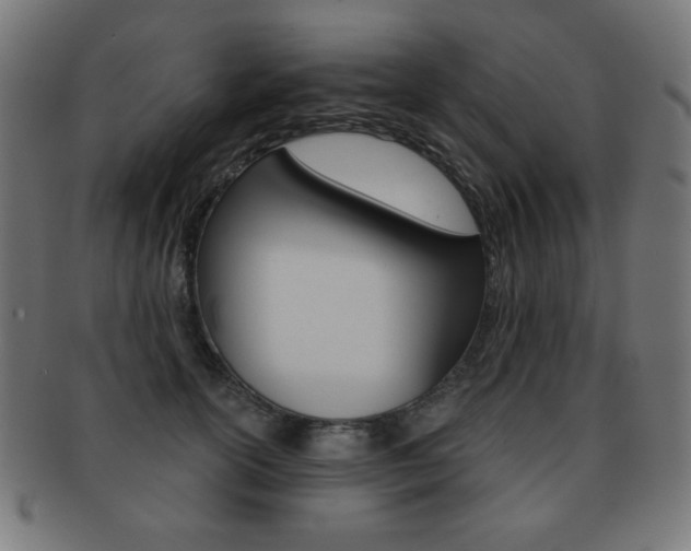X0000092010754200709061309
