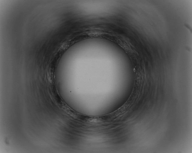 X0000092010755200709061309